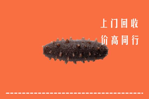 花山区高价回收海参