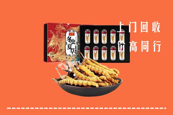 花山区回收虫草